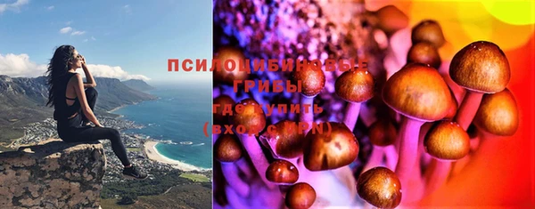 мдпв Рославль